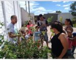 Escola promove caminhada ecológica no bairro Santa Lúcia