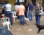 Vacinação antirrábica na zona rural foi realizada no domingo