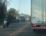 Atropelamento é registrado na BR 494 em Divinópolis