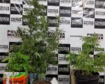 Dupla é presa por tráfico de drogas no bairro Bom Pastor em Divinópolis
