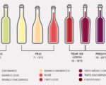 Temperatura ideal dos vinhos brancos