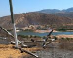 Queimada provoca interrupção de energia em cinco municípios do Leste de Minas