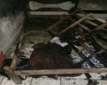 Morre idoso ferido em incêndio na cidade de Pará de Minas