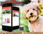 Prefeitura agendará castração de cães e gatos pelo aplicativo