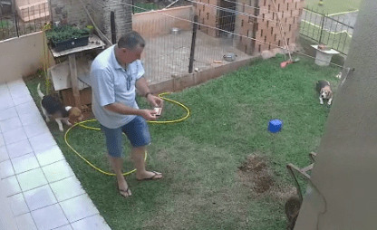 Blog Jorge Neto: Tonho da dedetização