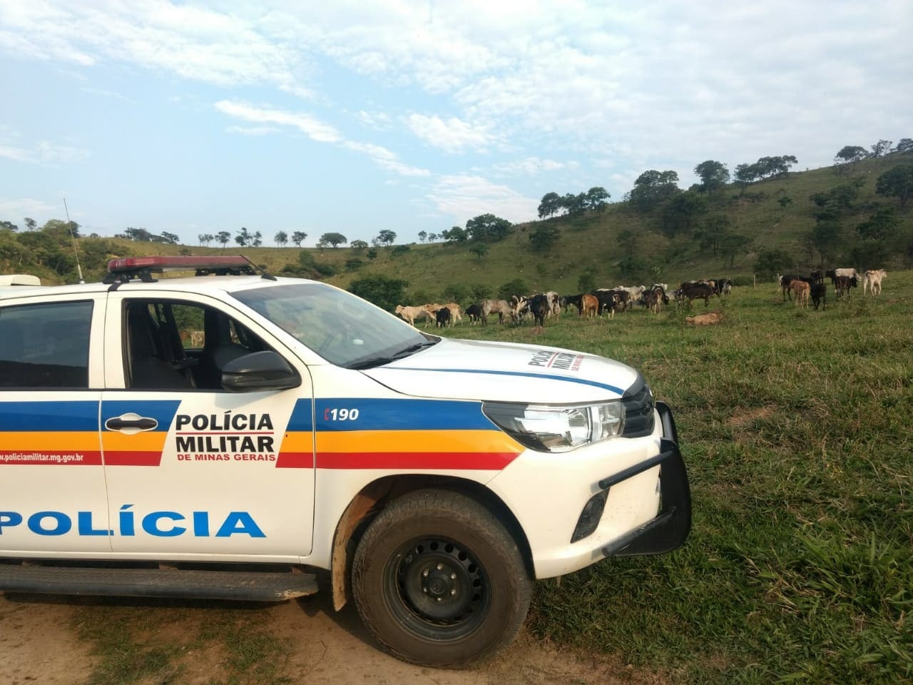 Patrulha Rural recupera gado furtado em fazenda