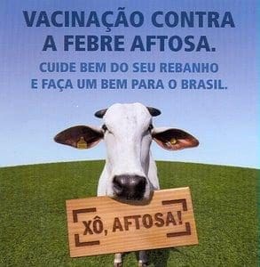 SEGUNDA ETAPA DA VACINA&Ccedil;&Atilde;O CONTRA A FEBRE AFTOSA J&Aacute; COME&Ccedil;OU
