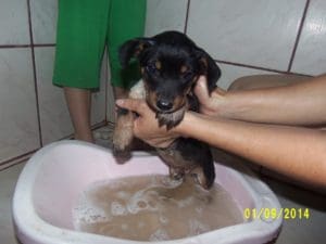 Rascunhos da Vida: Reconheça a autoridade sobre sua vida