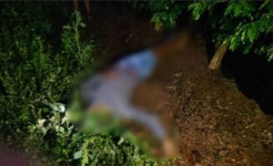 Jovem &eacute; assassinado com 12 tiros no meio de cafezal e outro adolescente escapa em Patroc&iacute;nio-MG