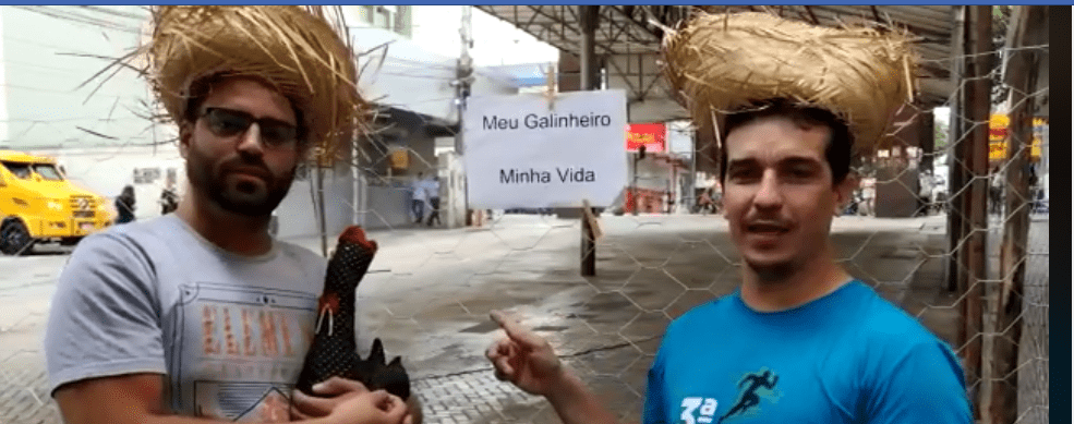 Espaço que abrigava camelódromo viraliza na internet como ‘galinheiro’