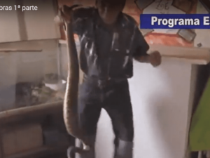 O homem que pega cascavel com as mãos