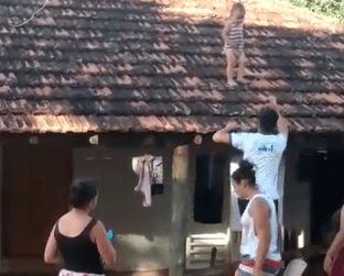 Blog Jorge Neto: Olha o que a quarentena tá fazendo……