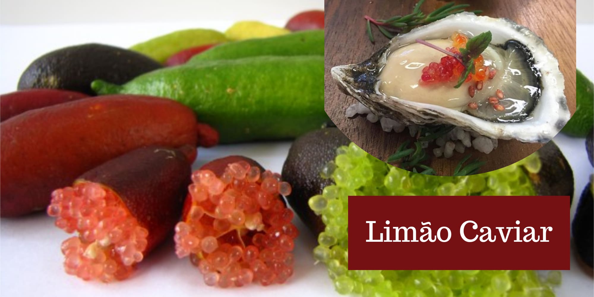 Você sabe o que é Limão Caviar?