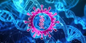 Coronav&iacute;rus: cientistas identificam ponto fraco do novo v&iacute;rus