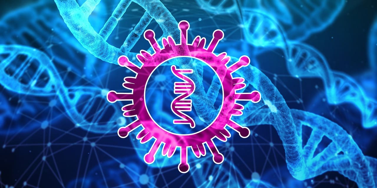 Coronavírus: cientistas identificam ponto fraco do novo vírus