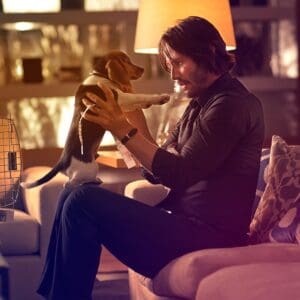 Est&uacute;dio queria manter o cachorro de John Wick vivo