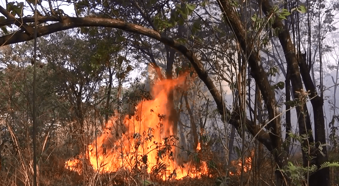 10º Batalhão dos Bombeiros lidera ranking de incêndios florestais em Minas Gerais