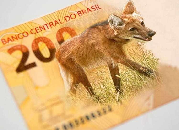 Nova nota de 200 reais é lançada hoje