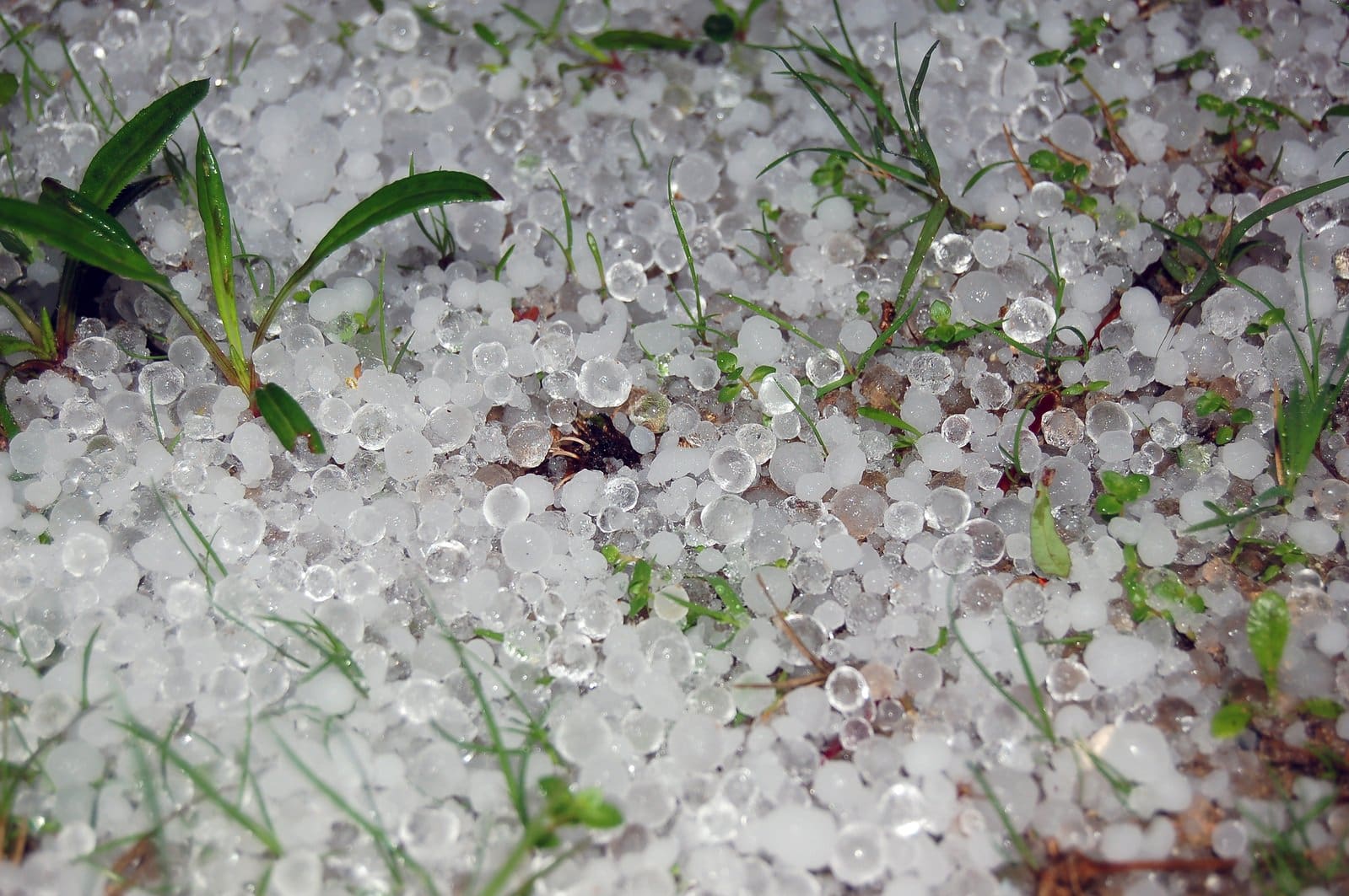Rascunhos da Vida: Chuva de Granizo