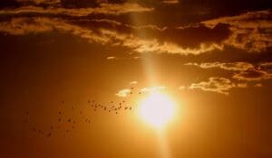 Cidade do Tri&acirc;ngulo registra maior temperatura de Minas nesta sexta