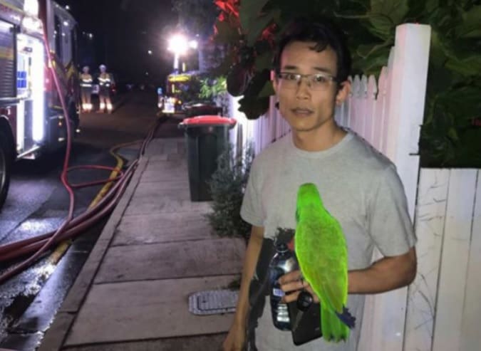 Papagaio avisa dono sobre incêndio e homem escapa ileso do incidente