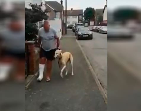 Homem manco gasta mais de 2 mil com veterinário para descobrir que cachorro só estava imitando o dono.
