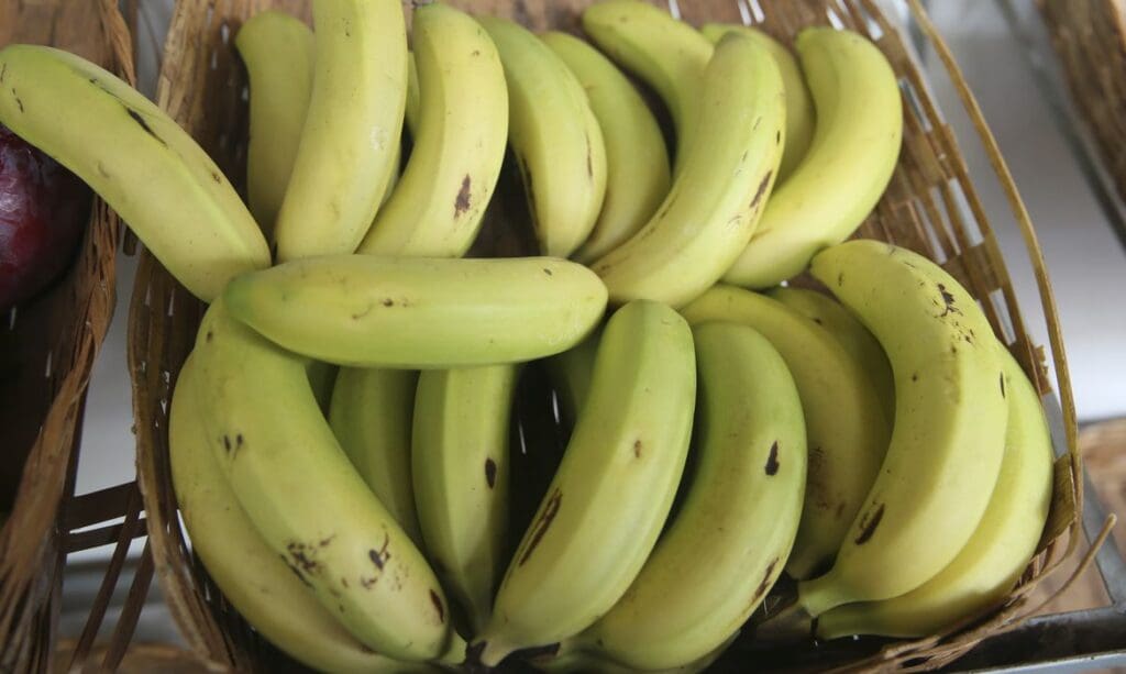 Conab: preços da maçã, banana e melancia têm forte alta em dezembro