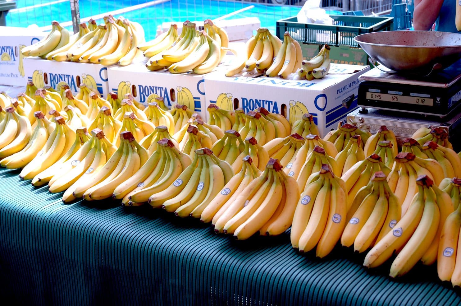 Batata e banana registram queda de preços no atacado