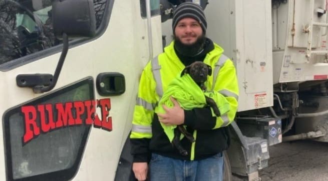 Motorista de caminhão de lixo resgata cachorro abandonado dentro de sacola