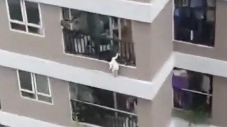 Motorista salva menina de 2 anos que caiu do 12º andar de prédio no Vietnã
