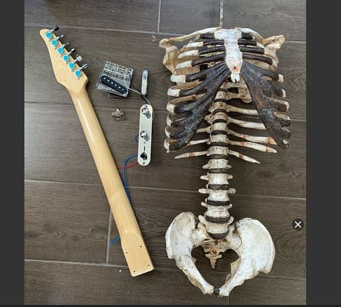 Jovem usa ossos do tio para construir guitarra e fazer homenagem