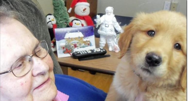 Asilo adota cachorra para fazer companhia a idosos durante a pandemia