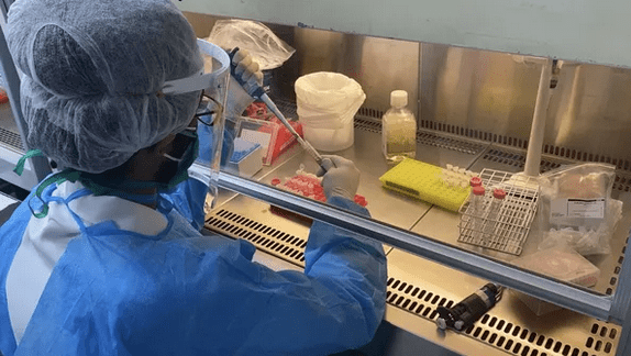 Pesquisadores da UFMG desenvolvem teste rápido que identifica variantes do coronavírus