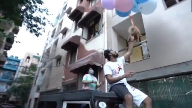 Após fazer lulu da pomerânia ‘voar’ com balões de gás hélio, youtuber é preso na Índia