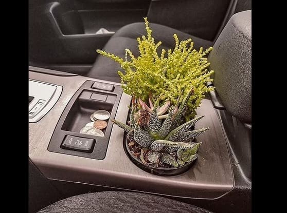 Nova moda de jardinagem dentro dos carros vira sucesso na internet