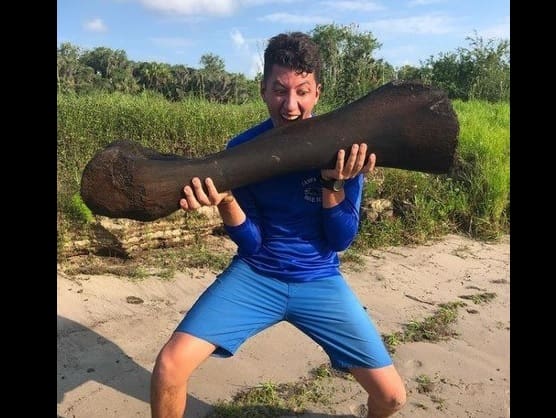 Dupla de mergulhadores encontra osso gigantesco de mamute