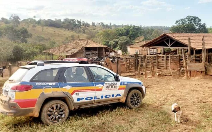 Ladrões de gado suspeitos de furtos em Luz são presos em Ribeirão Preto/SP