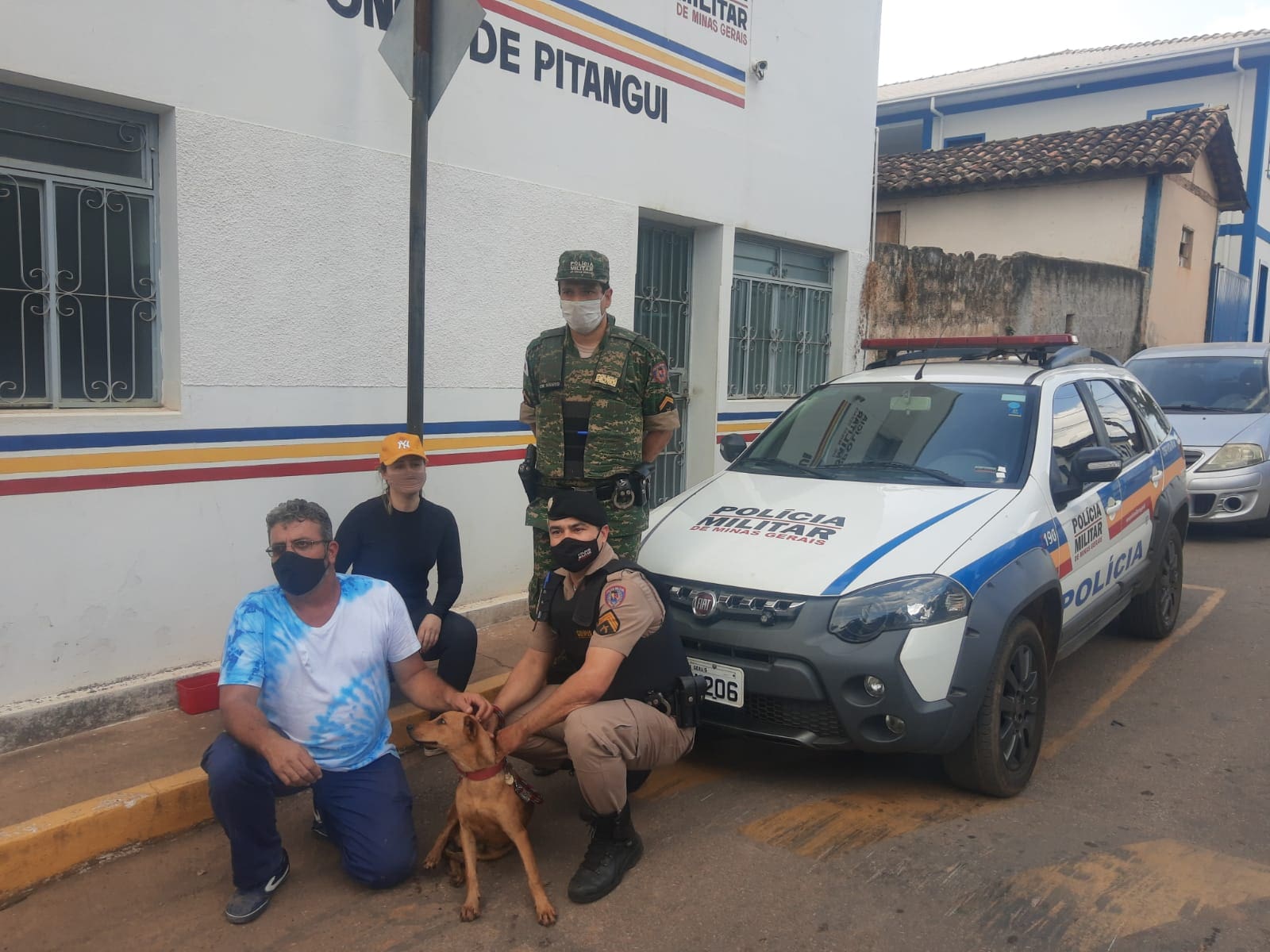 Cachorro vítima de maus tratos em Onça do Pitangui é localizado e está bem