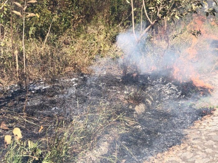 Nascentes das Gerais faz alerta aos perigos das queimadas às margens de rodovias