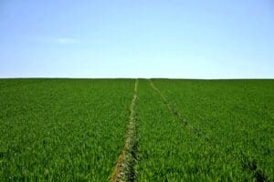 Procurando emprego? Empresas do agro com vagas abertas para candidatos com ou sem experi&ecirc;ncia