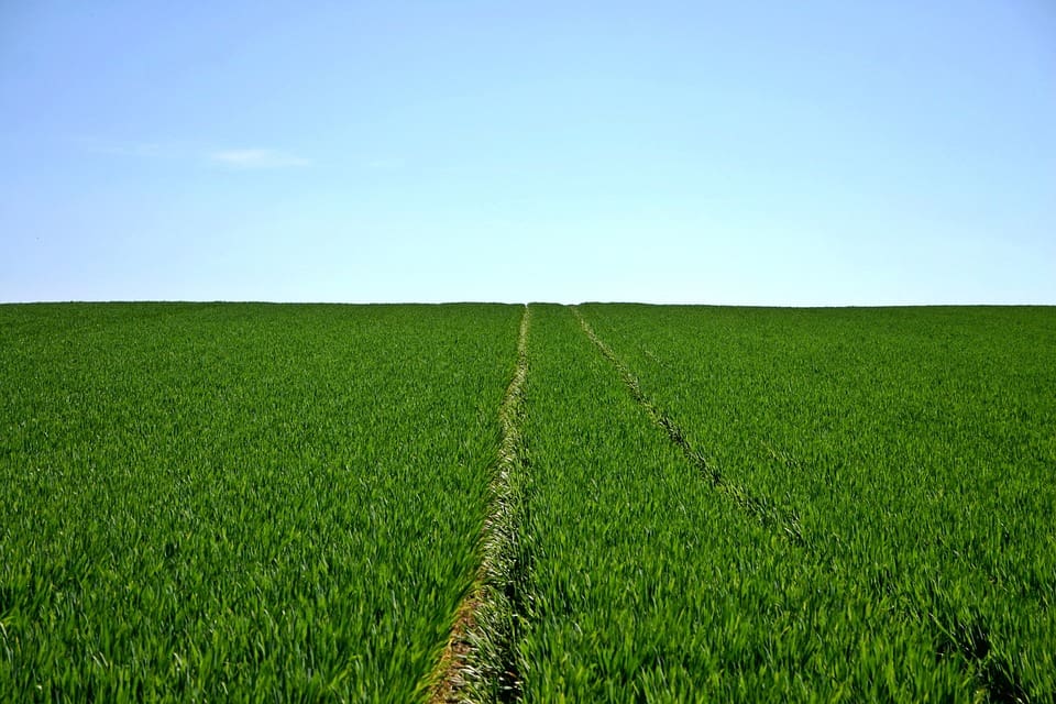 Procurando emprego? Empresas do agro com vagas abertas para candidatos com ou sem experi&ecirc;ncia