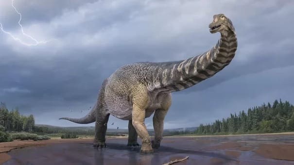 Cientistas descobrem nova espécie de dinossauro