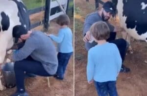 Gusttavo Lima aparece sendo filmado tirando leite da vaca