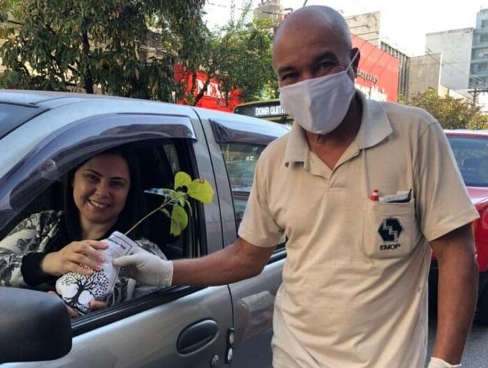 Mês ecológico: Emop entrega mudas de árvores a cidadãos no Centro