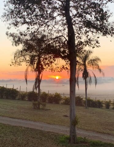 ONDA DE FRIO PODE SER UMA DAS MAIS INTENSAS NESTE SÉCULO NO BRASIL