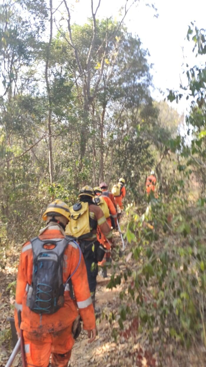 Operação de Combate a Incêndio Florestal dura cerca de 5 dias