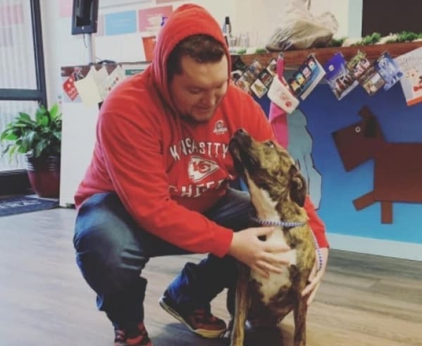 Jovem vai adotar cão e encontra sua cachorra que estava desaparecida.