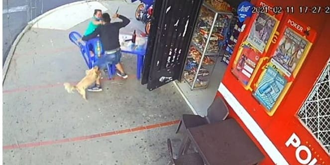 Câmera flagra momento em que cão reage a um assalto para defender a dona