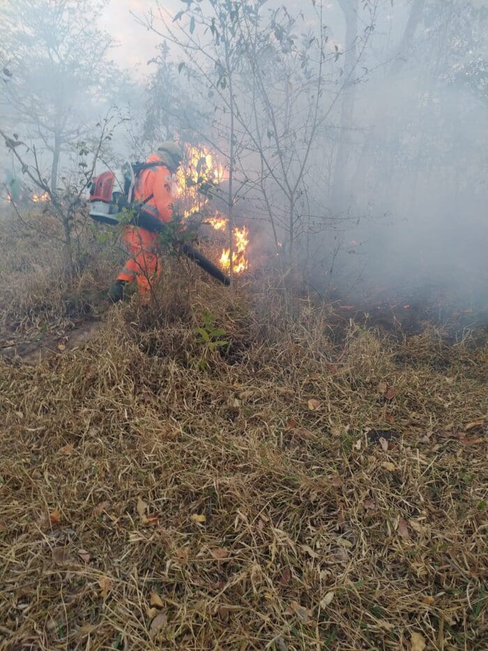 Corpo de Bombeiros combatem incêndios florestais