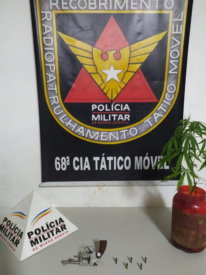 PM prende homem com arma e pé de maconha